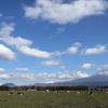 朝霧高原から富士山