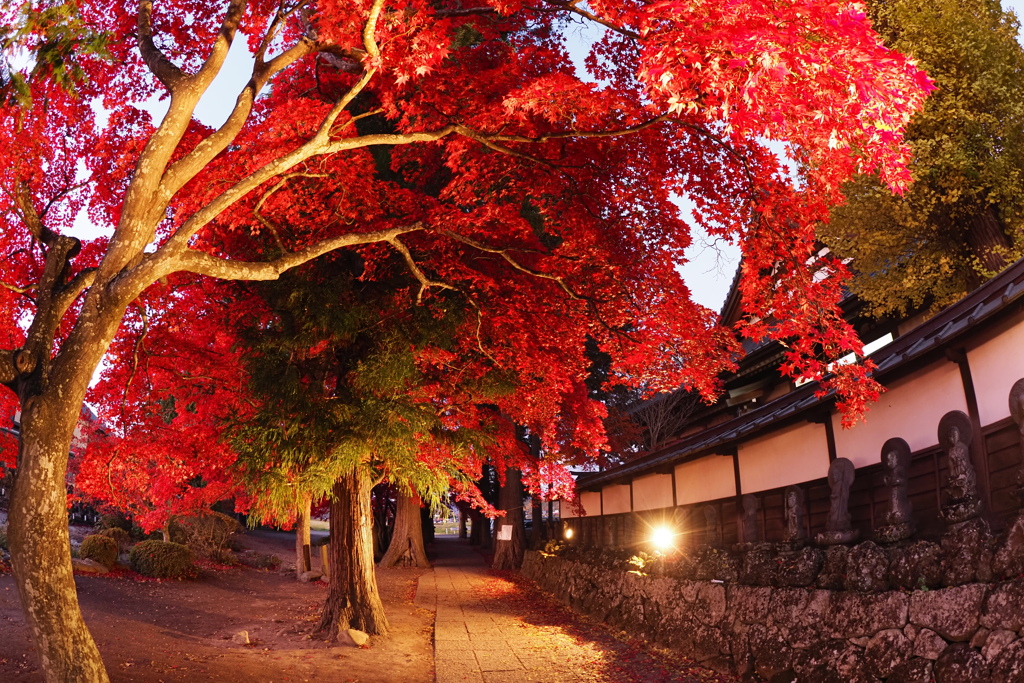 茅野市長円寺の紅葉から 8