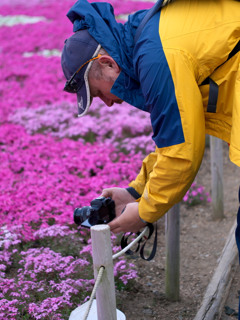 2019富士芝桜まつりにて 撮る人を撮る (7)