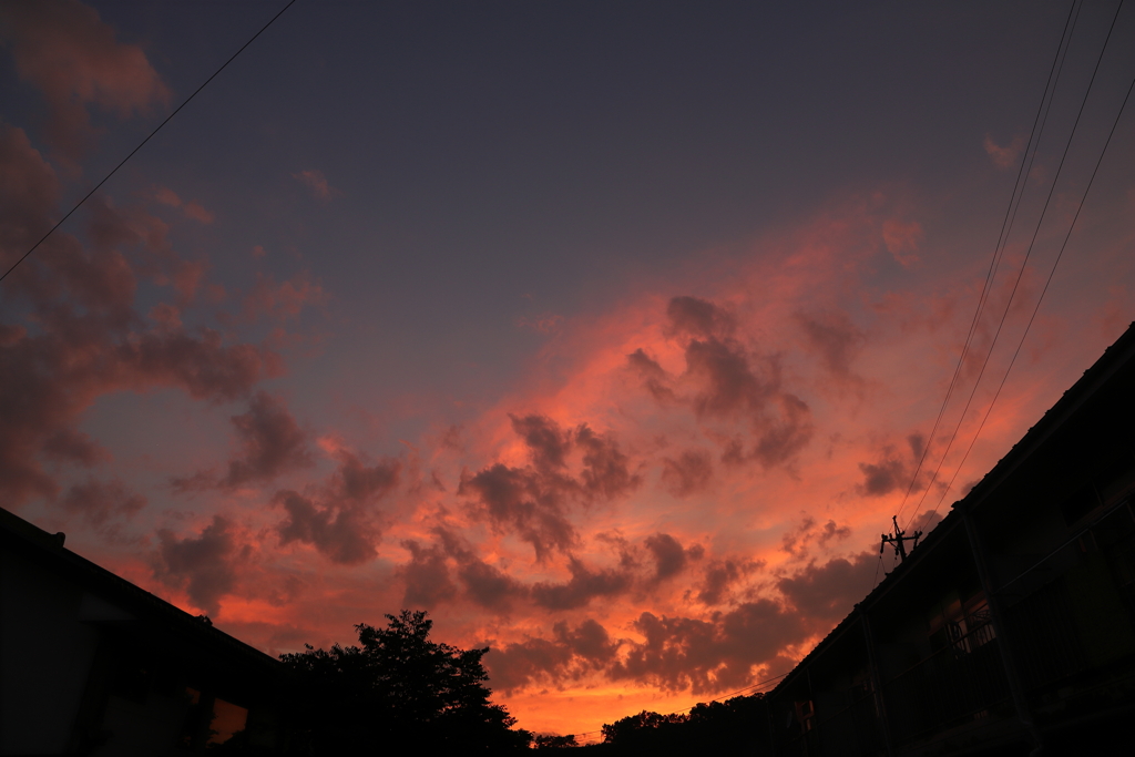 中庭からの夕焼け