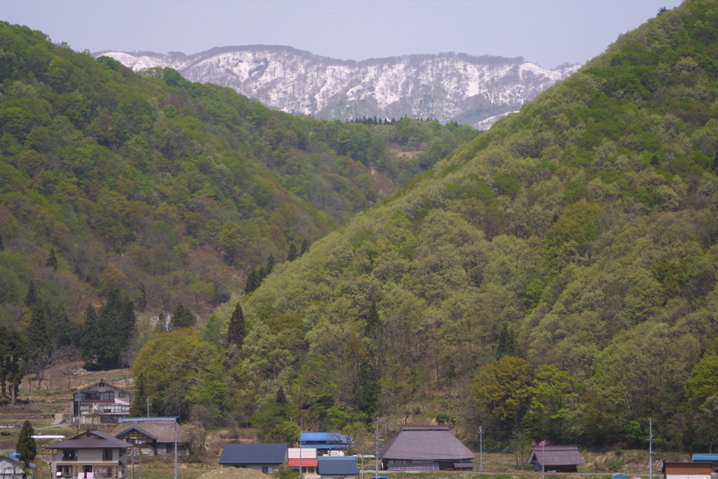 EOS D30の時 22