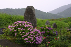 EOS D30の時 87