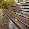 雨の日の紅葉狩り 3