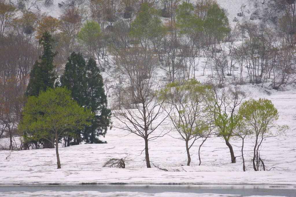 EOS D30の時 19