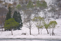 EOS D30の時 19