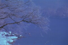 フィルム時代 16