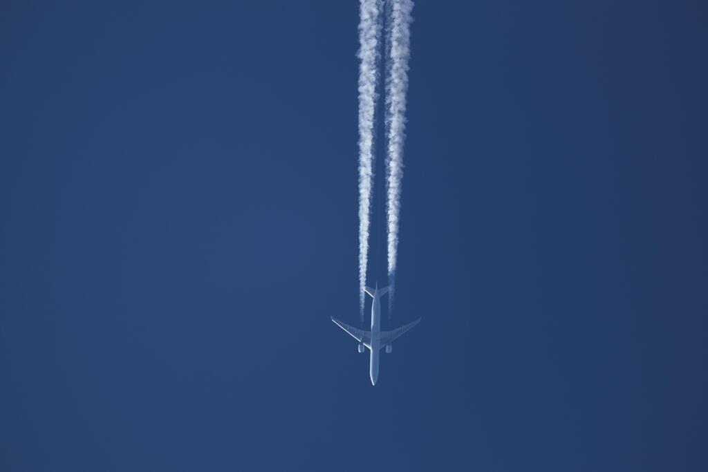 明神池のカモを撮ってみた (9)見上げたら飛行機