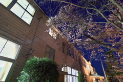 長和町 旧和田中学校ライトアップより (6)