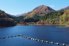 秋の碓氷湖にて (1)