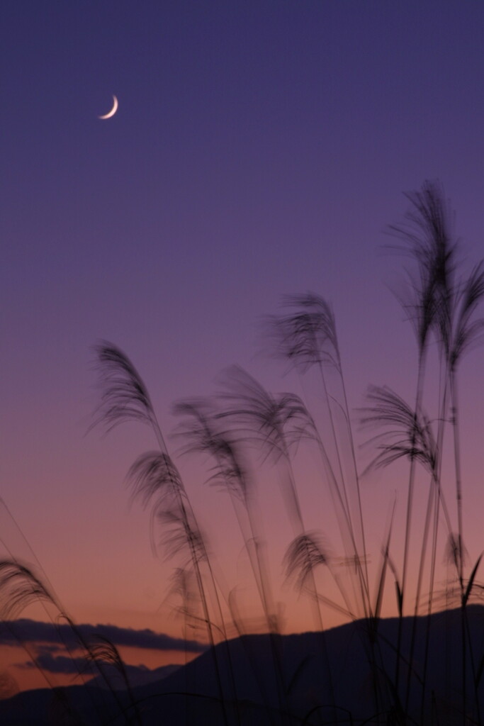 EOS D30の時 72