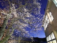 長和町 旧和田中学校ライトアップより (5)