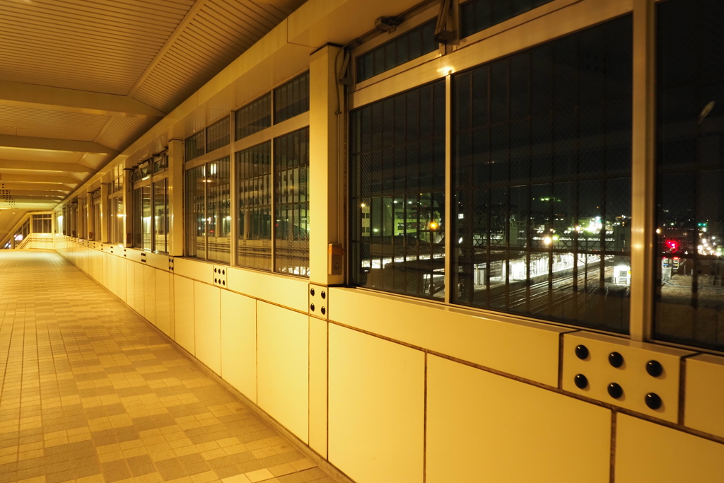 しなの鉄道の夜 (30)小諸駅