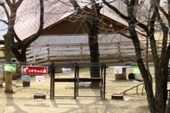 ハイジの村にて 2017 (4)