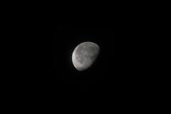 今朝の月（月齢20）を手持ちにて