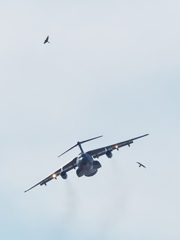 岐阜基地航空祭2019行ってきた！ 10