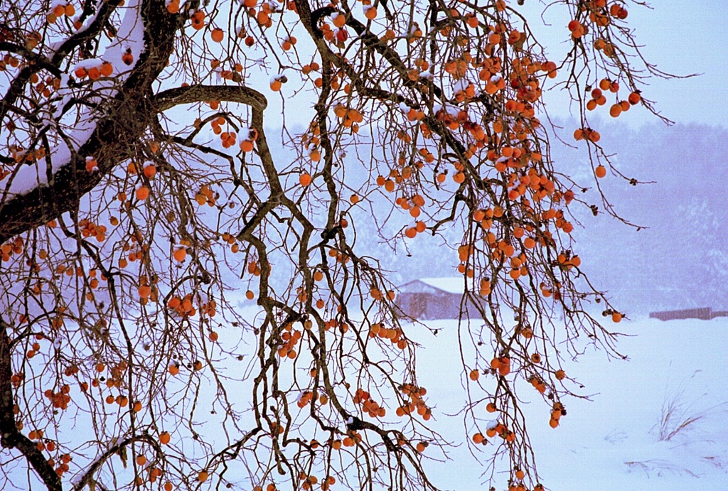 フィルム時代 53