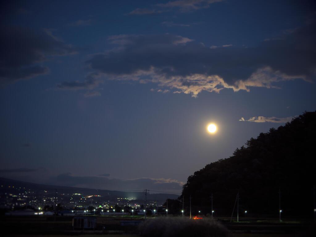 名月が昇ってきたよ