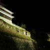 上田城・秋の夜 (7)