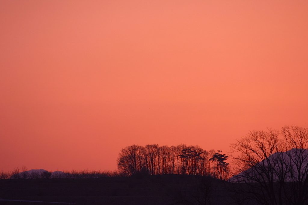 EOS D30の時 17
