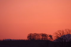 EOS D30の時 17