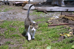 EOS D30の時 15