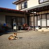 お留守番