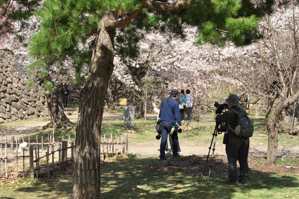 2019春の懐古園で撮る人を撮る (3)