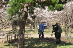 2019春の懐古園で撮る人を撮る (3)