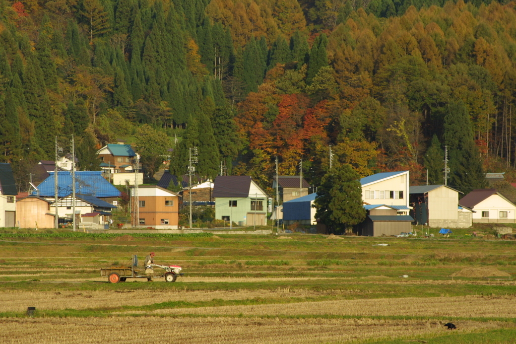 EOS D30の時 8