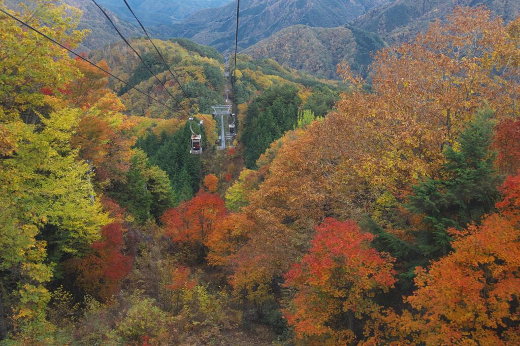 秋の空中散歩 ヘブンスそのはらSWにて (1)