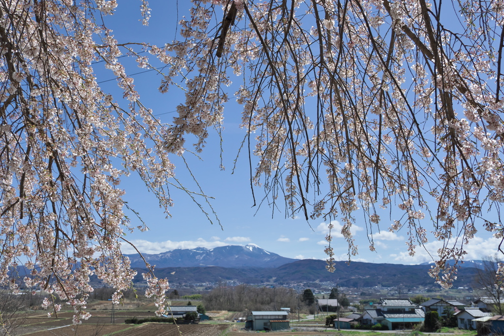 2020_04_19明神池にて (2)