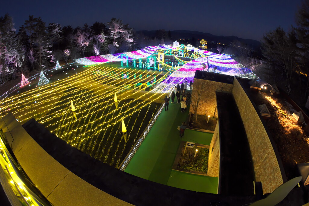 国営アルプス安曇野公園のイルミネーションより (9)