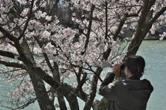 2020_04_19明神池にて (6)撮る人を撮る