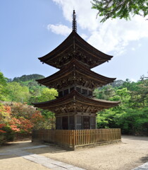 上田市 前山寺にて (5)
