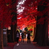 茅野市長円寺の紅葉から 6