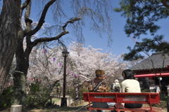 2019春の懐古園にて (5)