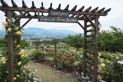 信州国際音楽村にて（４）