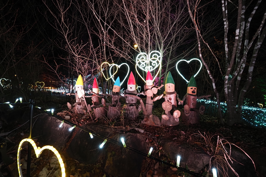 国営アルプスあづみの公園（大町・松川地区）のイルミネーション  (5)