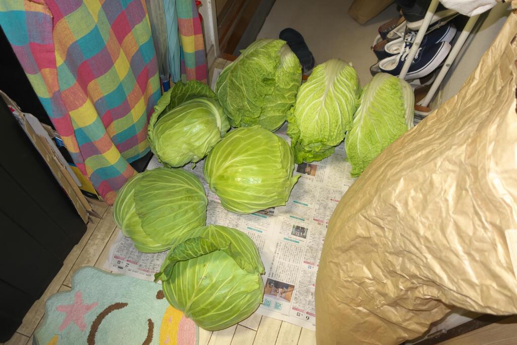 いただきもの(収穫)の秋