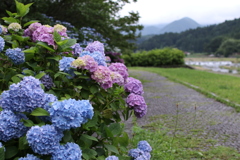 塩原温泉