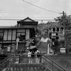 尾道の夏