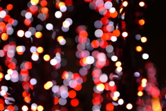 冬の金魚とアルペジオ