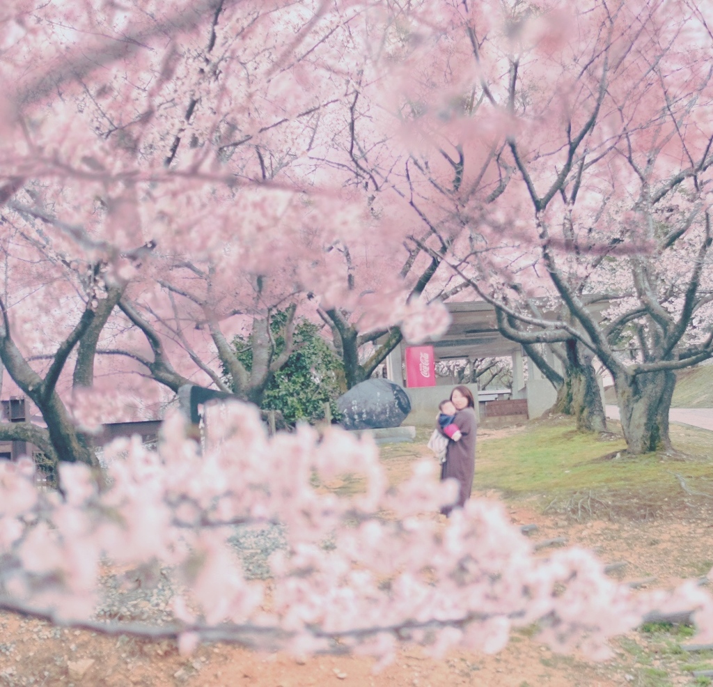 宮野山のお花見