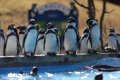 埼玉県こども動物自然公園