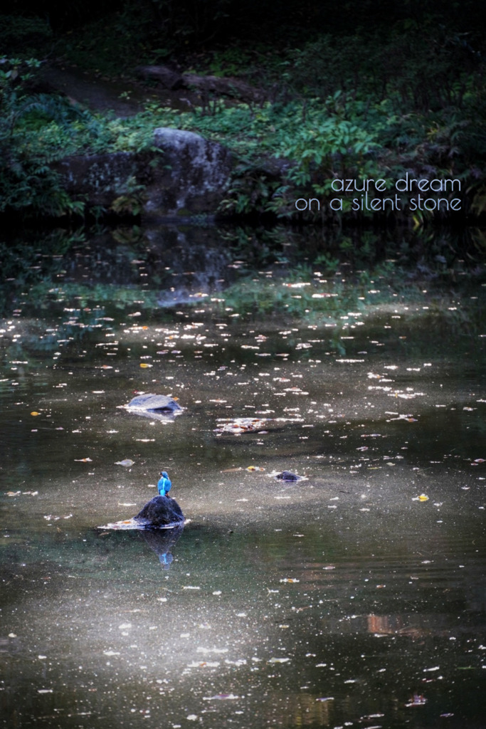 黄金色の秋のはずが...