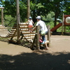 ある公園の日曜日②