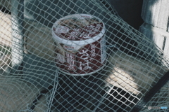 国産物、、