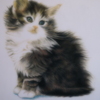 可愛い過ぎる猫の絵