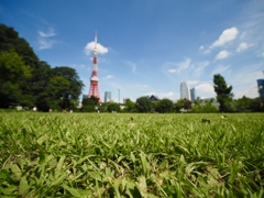 芝公園