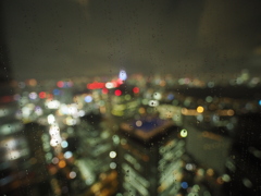雨の東京都庁